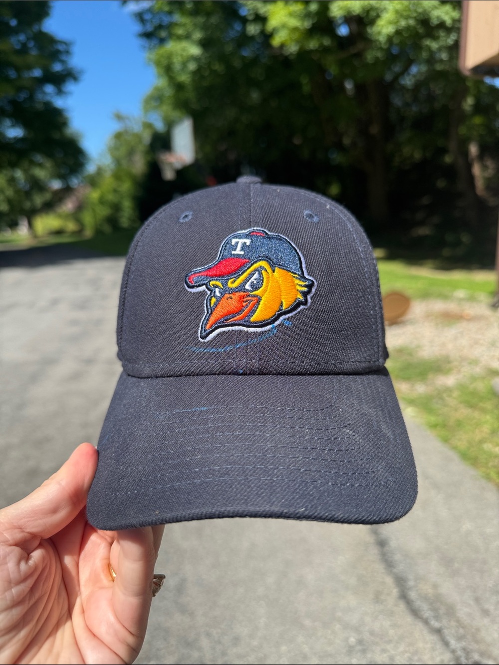 Youth Toledo Mudhens Hat